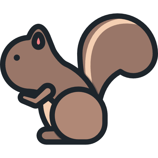 Squirrel zoo squirrel animals icon