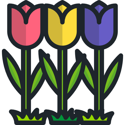 Tulips tulips flower botanical icon
