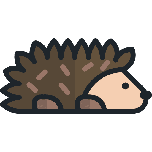 Hedgehog hedgehog zoo wildlife icon Hedgehog hedgehog zoo wildlife icon