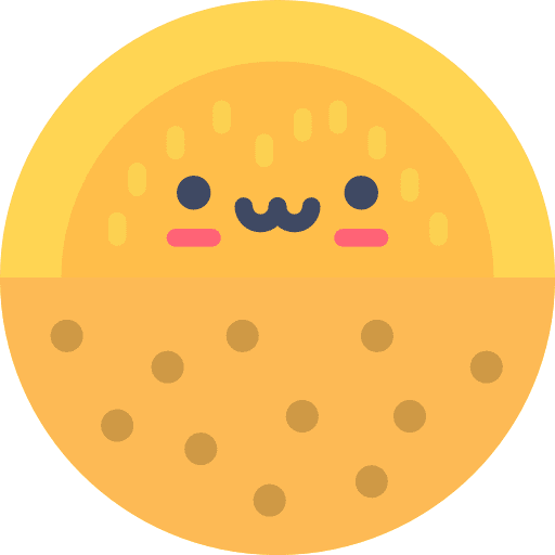 Melon healthy food melon food icon