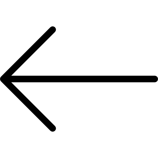 Left left left arrow back icon