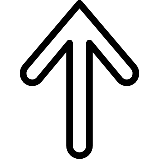 Up up orientation up arrow icon