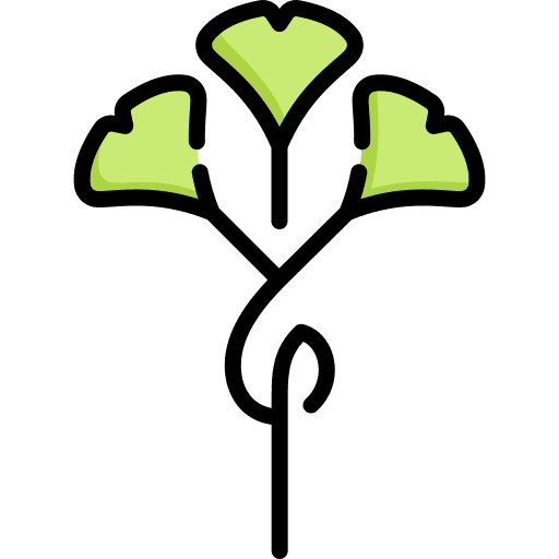 Gingko art and design gingko art icon Gingko art and design gingko art icon