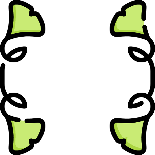 Gingko frame gingko art and design icon Gingko frame gingko art and design icon