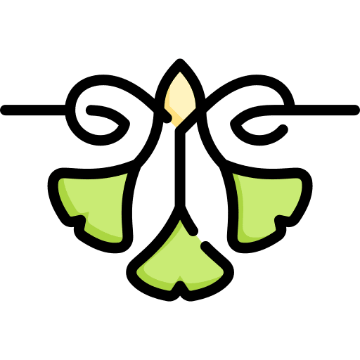 Gingko nature gingko art icon Gingko nature gingko art icon