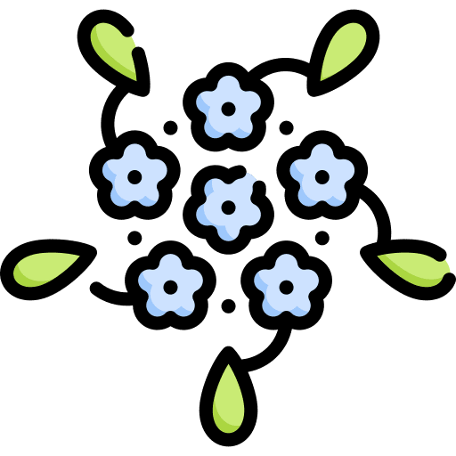 Hydrangea nature art art and design icon Hydrangea nature art art and design icon