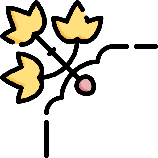 Maple leaf nature maple leaf corner icon Maple leaf nature maple leaf corner icon