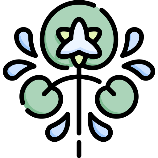 Waterlily nature floral design waterlily icon Waterlily nature floral design waterlily icon