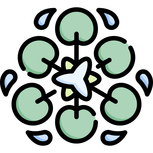 Water lily art and design flower design art icon Water lily art and design flower design art icon