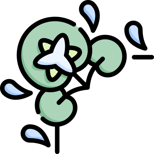 Water lily floral design corner water lily icon Water lily floral design corner water lily icon