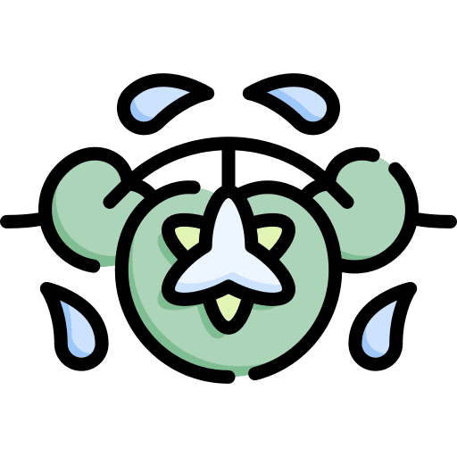 Water lily floral design water lily art icon Water lily floral design water lily art icon