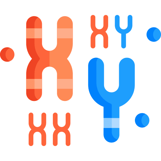 Chromosome dna structure education genetic icon