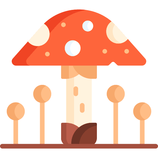 Fungus ecology and environment fungus nature icon