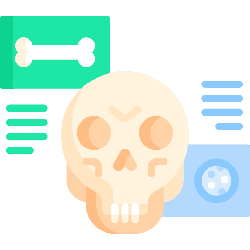 Human bones bones anatomy body organ icon