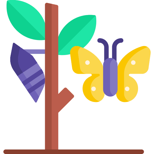 Metamorphosis metamorphosis butterfly healthcare and medical icon