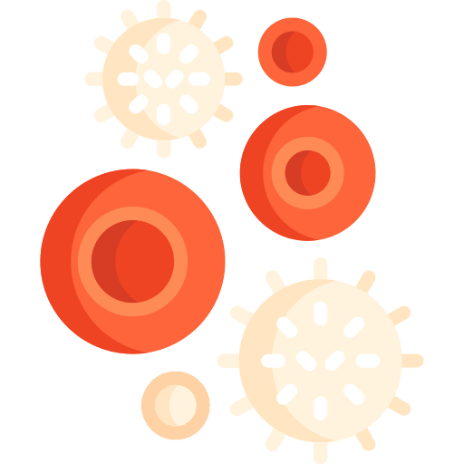 Red blood cells stem cell hematologist red blood cells icon