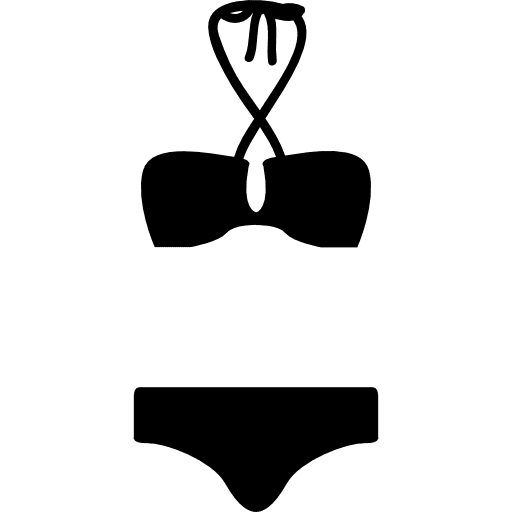 Bikini fashion swimsuit two icon