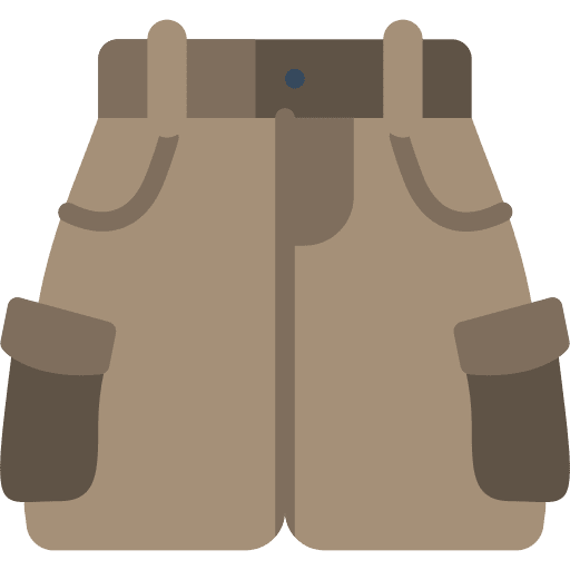 Shorts clothes fashion shorts icon