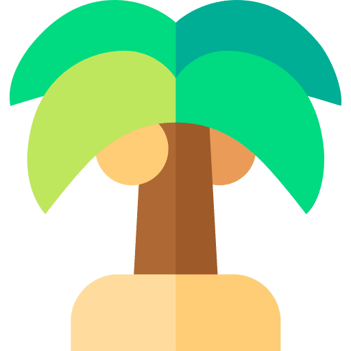 Palm tree coconut tree palm tree botanical icon