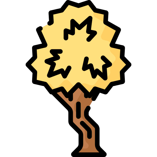 Tree ecology garden botanical icon Tree ecology garden botanical icon