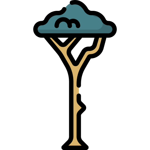 Tree yard tree botanical icon Tree yard tree botanical icon