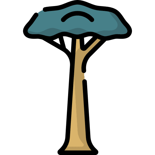 Tree botanical tree nature icon Tree botanical tree nature icon