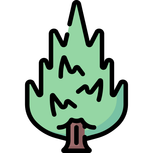 Tree botanical yard garden icon Tree botanical yard garden icon