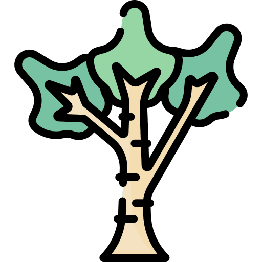 Tree tree garden botanical icon Tree tree garden botanical icon