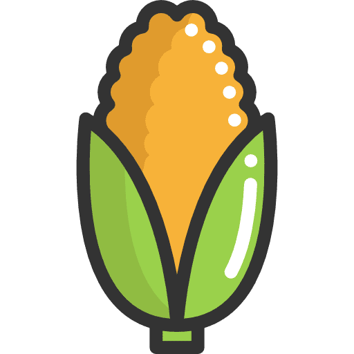 Corn healthy food diet cereal icon