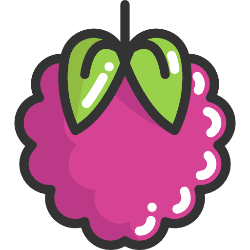 Raspberry diet fruit vegetarian icon