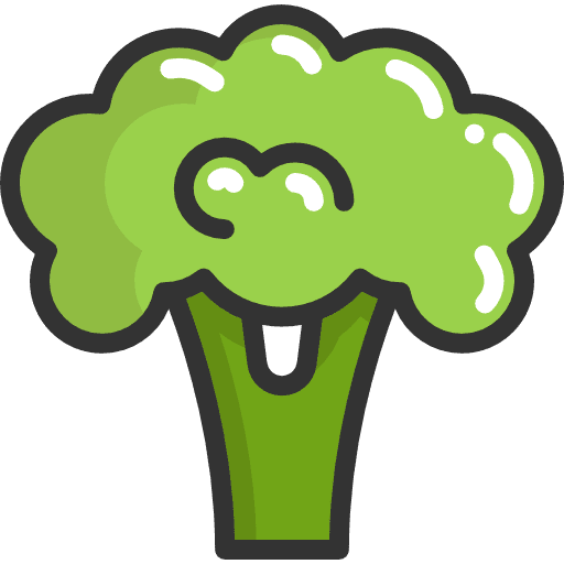 Broccoli food broccoli foods icon