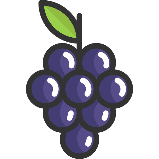 Grapes fruits grapes bouquet icon