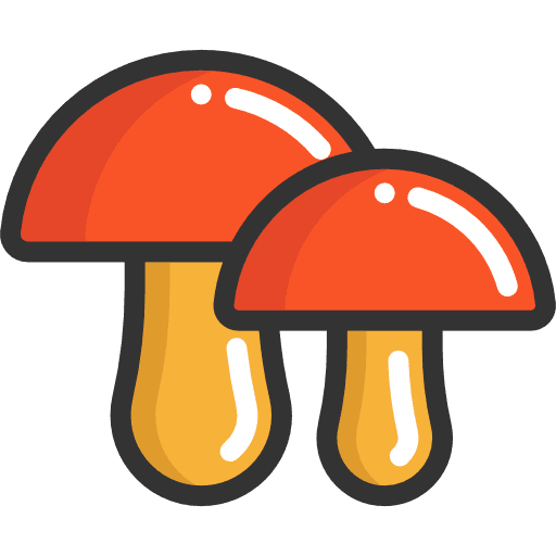 Mushroom mushroom food fungi icon