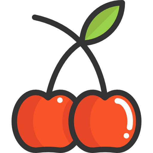 Cherry vegan food vegetarian icon