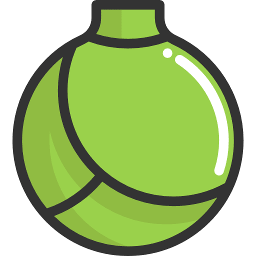 Lettuce vegetable food and restaurant lettuce icon