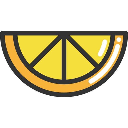 Orange vegetarian diet healthy food icon