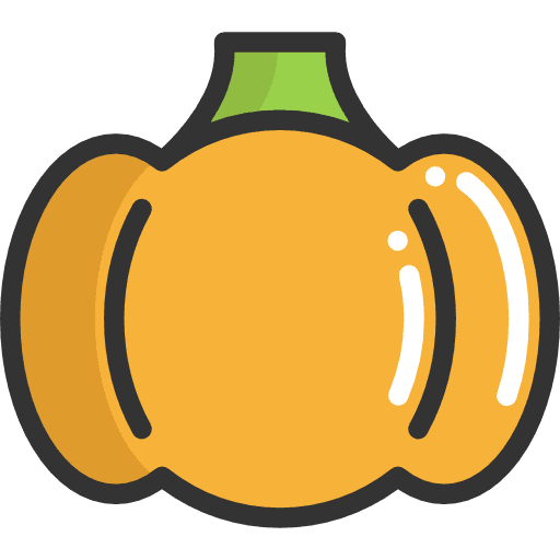 Pumpkin food healthy food organic icon