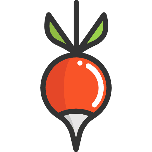 Radish radish healthy food organic icon