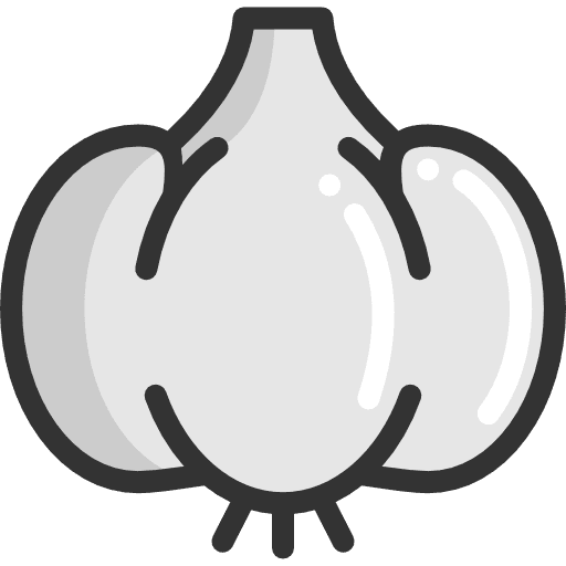 Garlic fruit food vegetable icon