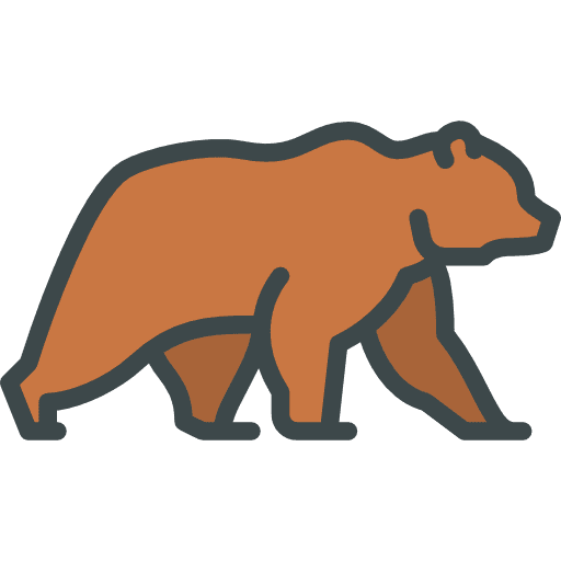 Bear animals animal kingdom wild life icon