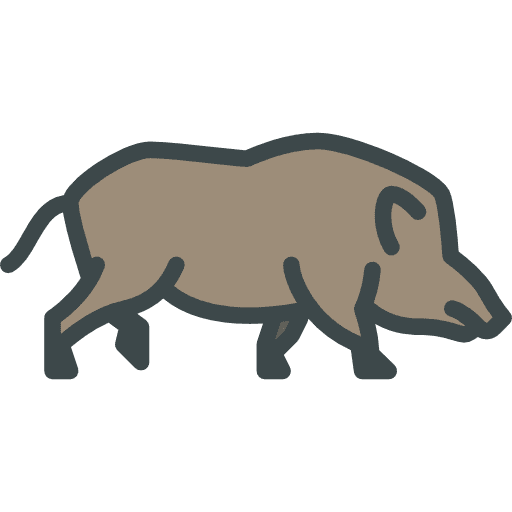 Boar animal kingdom boar wild boar icon