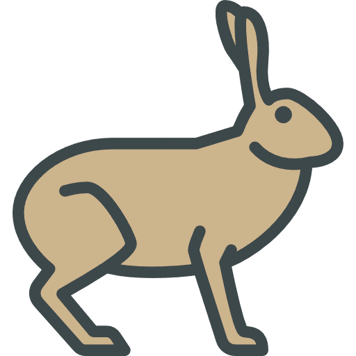 Hare zoo animal kingdom hare icon