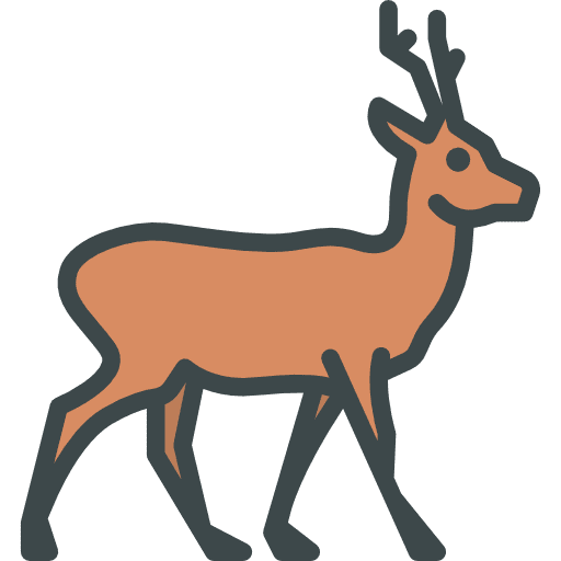 Roe wild life animals animal kingdom icon