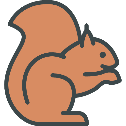 Squirrel animal kingdom animals zoo icon