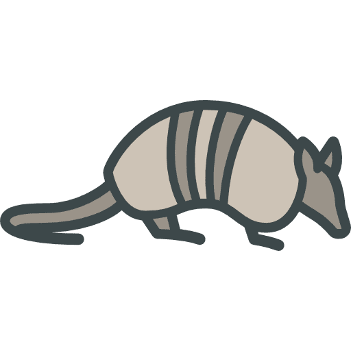 Armadillo animal kingdom zoo armadillo icon Armadillo animal kingdom zoo armadillo icon