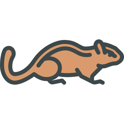 Chipmunk animals chipmunk animal kingdom icon Chipmunk animals chipmunk animal kingdom icon