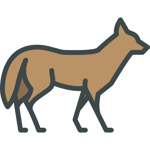 Coyote wild life animals zoo icon