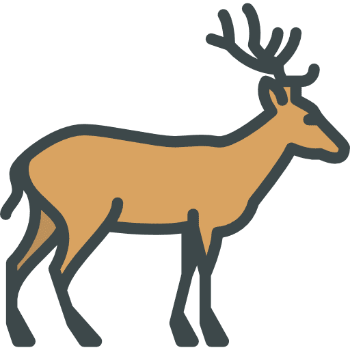 Deer wild life animals deer icon Deer wild life animals deer icon