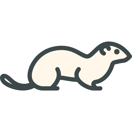 Ermine zoo animals animal kingdom icon Ermine zoo animals animal kingdom icon