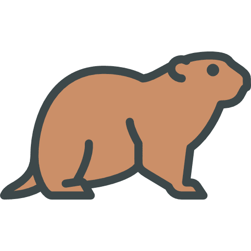 Groundhog wild life groundhog zoo icon Groundhog wild life groundhog zoo icon